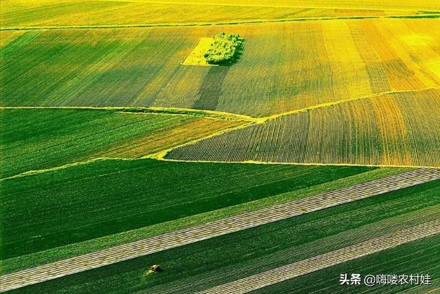 多国发布粮食出口禁令，14亿人的中国是否引发粮食危机？答案来了