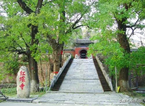 北京周边游 | 一到春天都往外跑？原来周边藏着这些“宝藏”景点