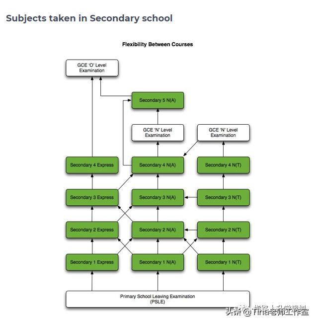 留學之新加坡篇（一）新加坡小學生堪稱史上“最難畢業生”