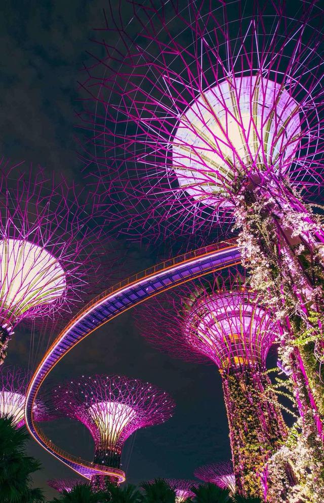 五彩斑斓——新加坡旅行遊記