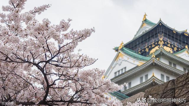 6个日本赏樱最好的地方！这里的樱花真好看！