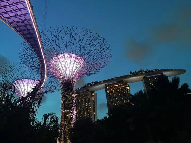 五彩斑斓——新加坡旅行遊記