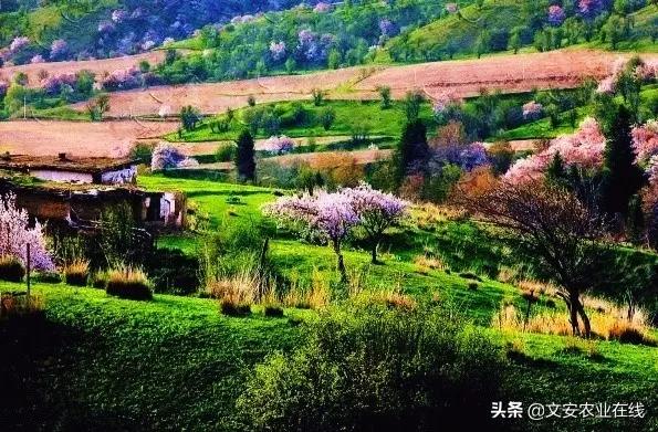迄今爲止，這是中國最昂貴的美景，令人敬畏！