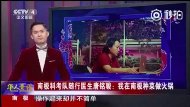 疫情时期的海外华人：给我一把锄头，种出一个世界