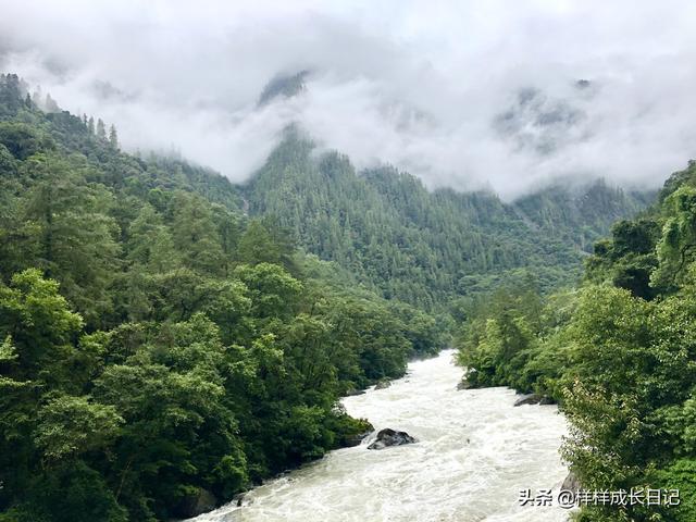 带着女儿自驾西藏D10：波密到林芝，川藏线上没有天堑只有风景！