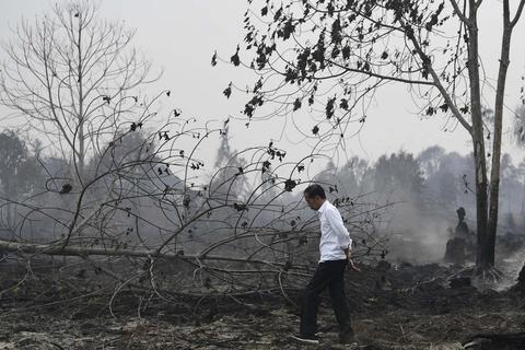 印尼烧芭引燃大火，周边部分国家游客取消行程