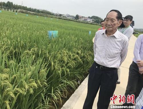 粮食危机要来？有人开始囤粮，中国粮食够吃吗？