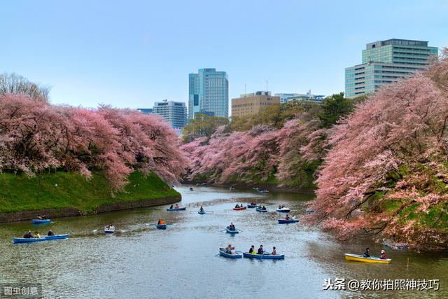 6个日本赏樱最好的地方！这里的樱花真好看！