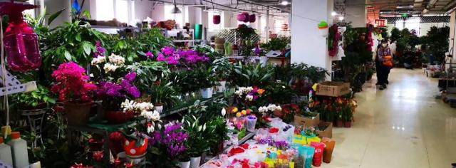 准备重启经济？美国10州欲联合放松限制措施，特朗普：决定权在我