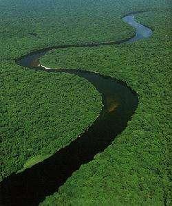 非洲的热带雨林，面积超过500万平方公里