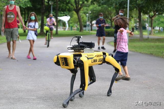 新加坡科技防疫：机器犬巡逻控人潮 割草机自动修草坪