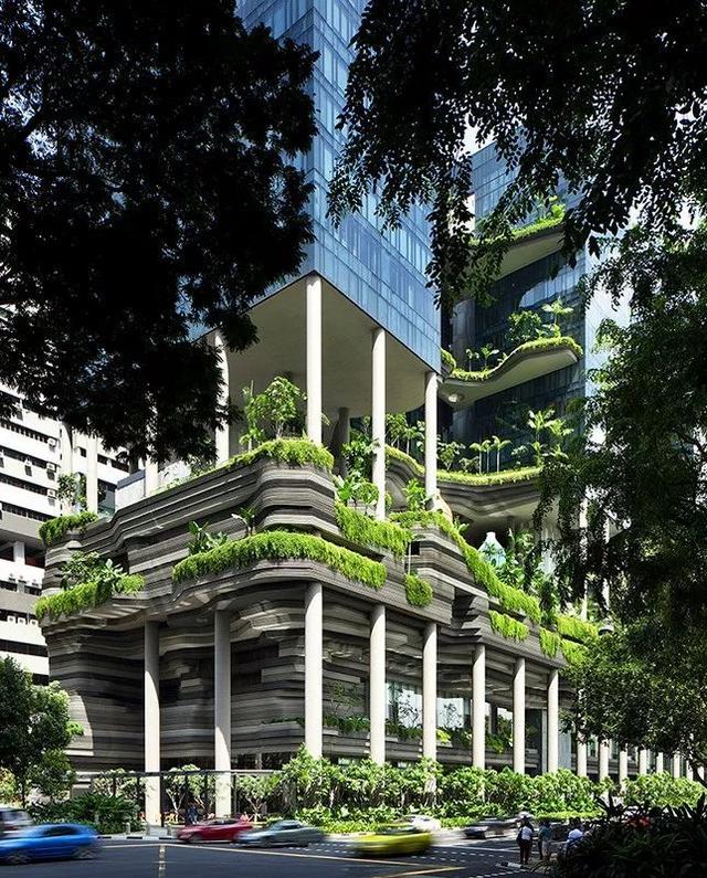 綠色建築①——在新加坡打造綠色建築的設計師，在中國能成功嗎