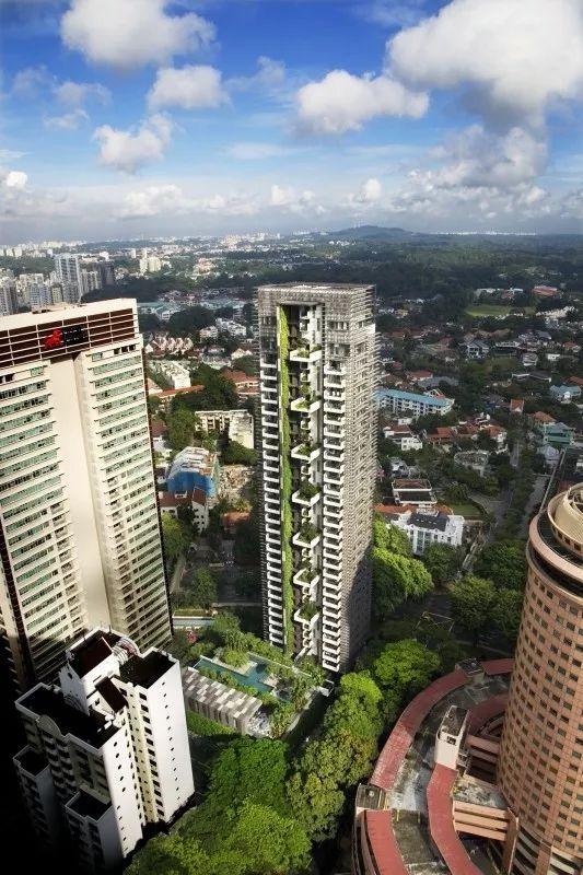 绿色建筑①——中国设计师在新加坡打造绿色建筑，如今他回到中国