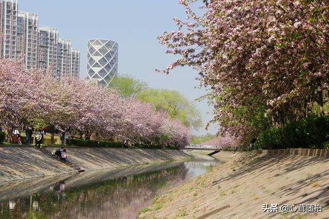 相比元大都和玉渊潭，北京这两个地方人少景美，却一直被忽视