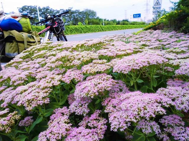 环骑渤海湾之旅 第4天：天津—唐山市—唐山古冶区