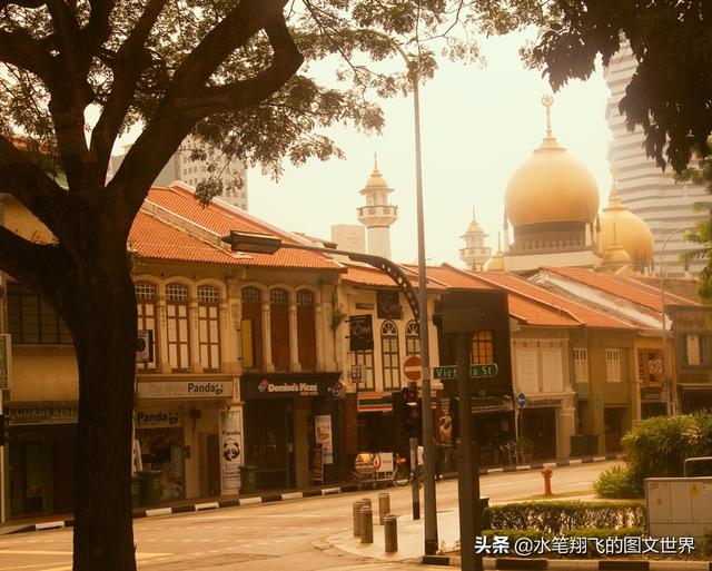 狮城之旅｜新加坡虽小，游客要注意的却很多，处罚相当严