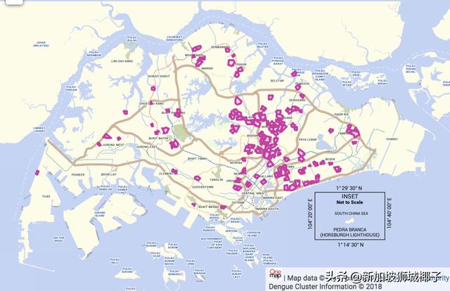环境局：新加坡或面临史上最严重骨痛热症！警惕这5个“重灾区”