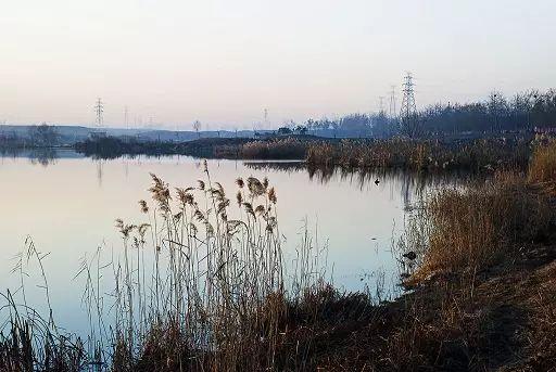 在北京，曾經有個隱秘而美麗的地方叫醉湖，現在更美，您不去看看