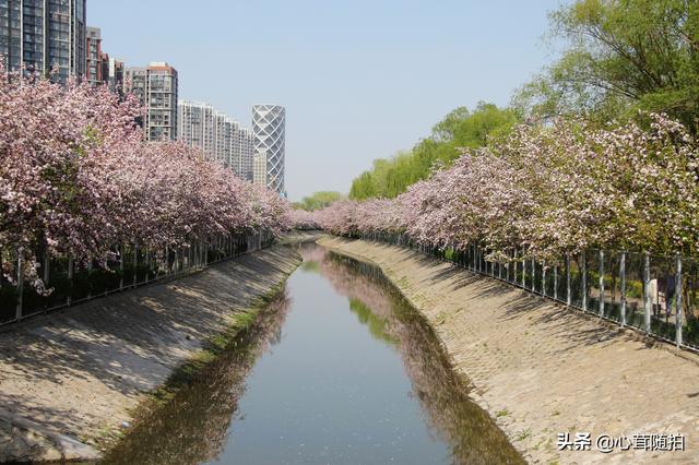 相比元大都和玉渊潭，北京这两个地方人少景美，却一直被忽视