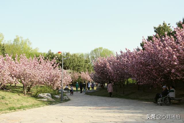 相比元大都和玉渊潭，北京这两个地方人少景美，却一直被忽视