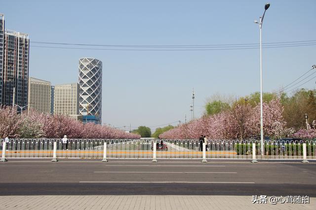 相比元大都和玉渊潭，北京这两个地方人少景美，却一直被忽视