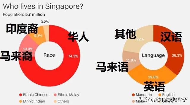 新加坡副總理王瑞傑被人報警，曾說過涉嫌種族歧視的話？