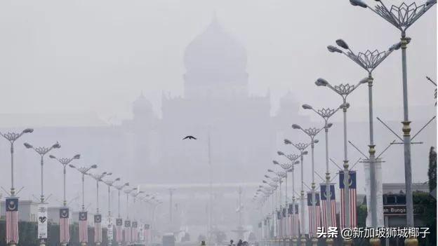 雾霾预警！新加坡的邻国爆发森林大火，口罩要戴到天荒地老