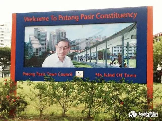一个中国新移民眼中的2020新加坡大选，让你了解全过程
