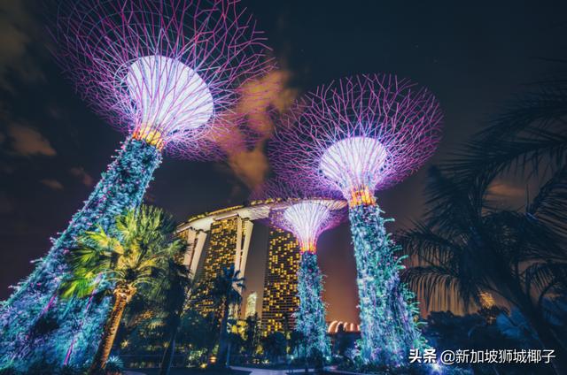 實拍！新加坡環球影城、動物園、賭場重開第一天