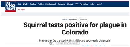美国出现鼠疫疫情，美一只松鼠鼠疫检测呈阳性