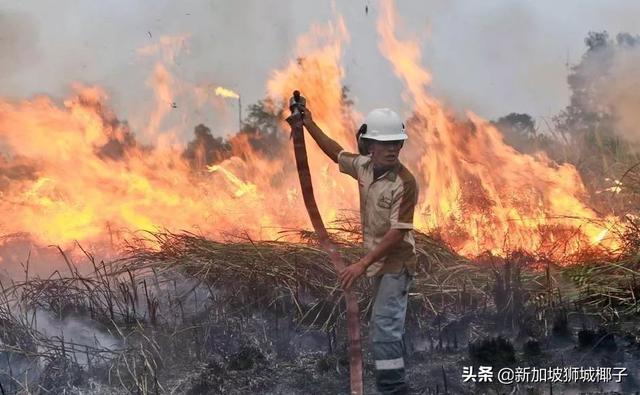 雾霾预警！新加坡的邻国爆发森林大火，口罩要戴到天荒地老