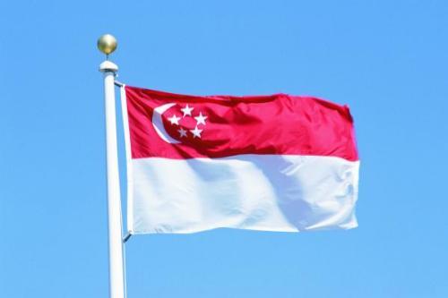 彈丸小國新加坡爲什麽能成爲發達國家