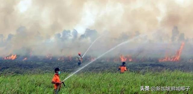 雾霾预警！新加坡的邻国爆发森林大火，口罩要戴到天荒地老