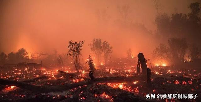 雾霾预警！新加坡的邻国爆发森林大火，口罩要戴到天荒地老