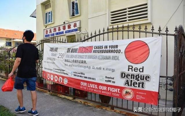 家人群爆了！“新加坡登革熱疫情史上最嚴重”登上微博熱搜