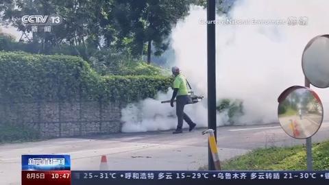 新加坡登革热确诊病例超2万例 全国开展灭蚊行动