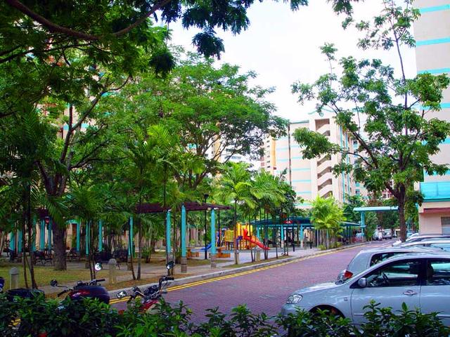 新加坡旅游：花园城市一瞥（图）