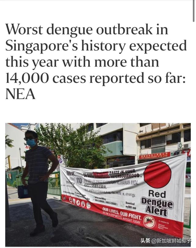 家人群爆了！“新加坡登革熱疫情史上最嚴重”登上微博熱搜
