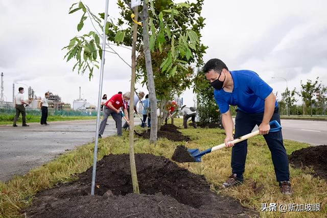 新加坡政府计划10年内，在工业区种植17万棵树！太吓人了