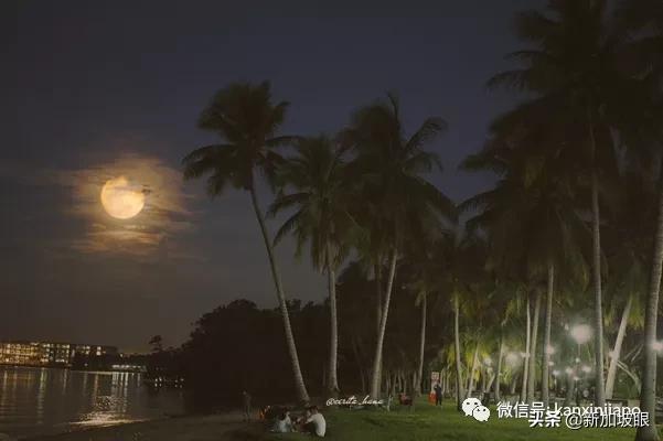 大雨降臨前，公衆紛紛拿出手機，拍攝“十五的月亮十六圓”