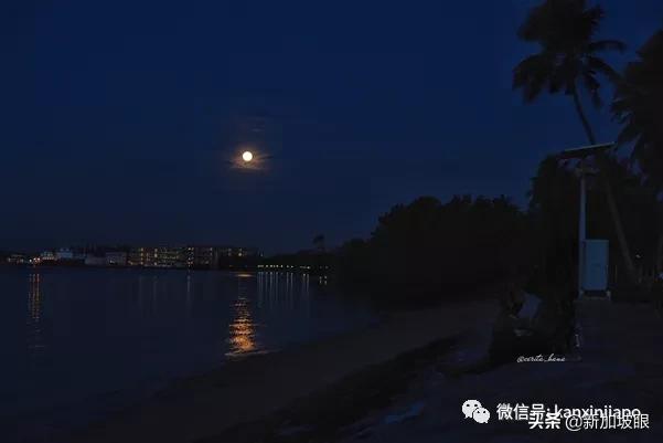 大雨降臨前，公衆紛紛拿出手機，拍攝“十五的月亮十六圓”