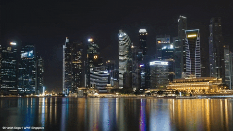弹丸小国新加坡，凭啥能成为亚洲经济中心？老天赏饭吃闷声干大事