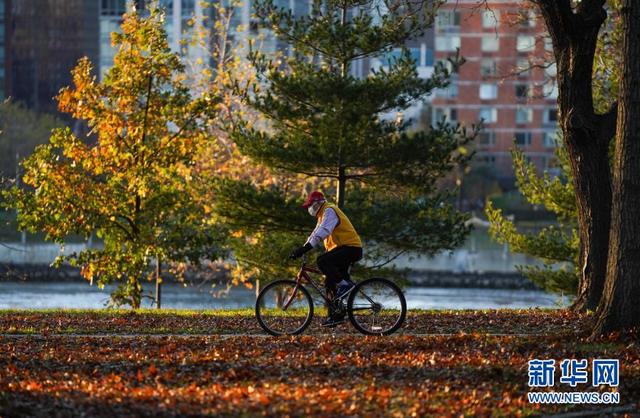 美国日增新冠确诊病例连续6天超10万例