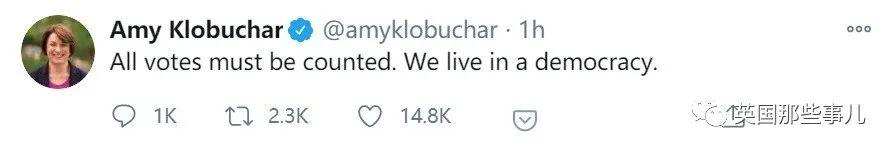 美国大选一夜过山车般各种逆转！川普：我赢我赢！现在赶紧停止计票！民众：？