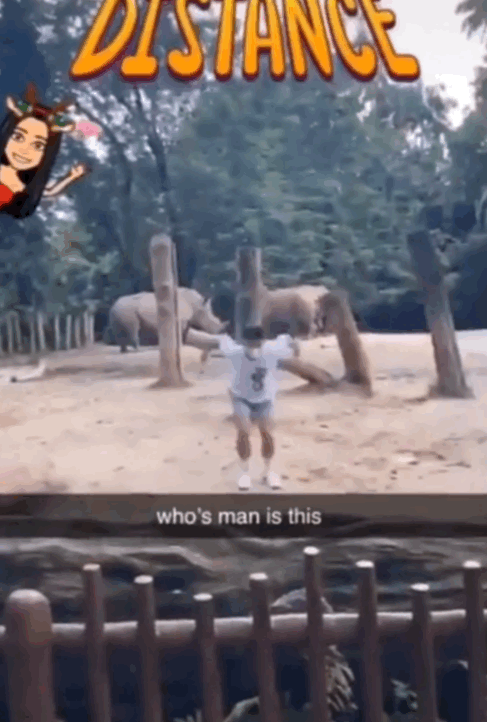 新加坡小伙为拍短视频跳进犀牛圈里