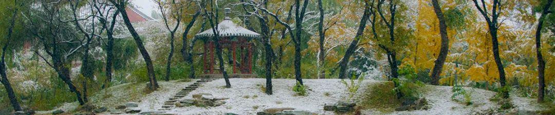 美国院士+诺奖得主:从经济学视角探究美国底层的绝望