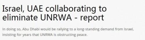 这一年,美国在中东留下了遍地鸡毛