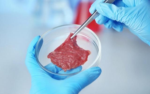 世界首例！新加坡批准實驗室培育雞肉上市，“細胞肉”來了？
