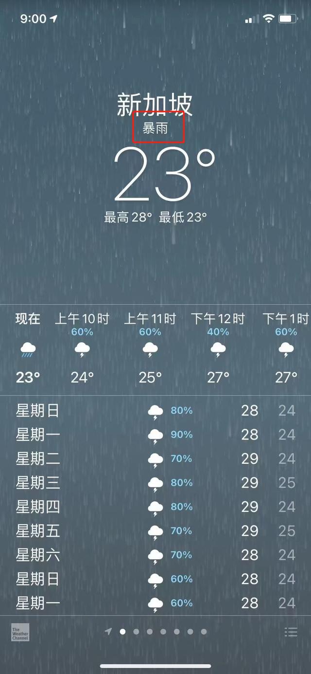 我在赤道上冻成狗！新加坡持续暴雨、22°C，冷冷冷冷冷冷冷