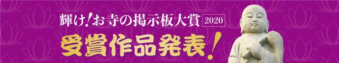 日本方丈公开“骂人”却获全网点赞！网友：活得透彻